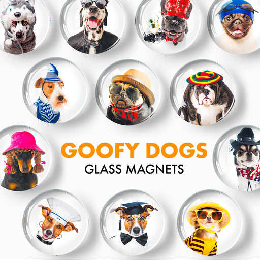 Funny Dogs Decorative Magnets - Cute Fridge Magnets - Decorative Magnets for Whiteboard - Small Round Magnets - 12 Pcs
