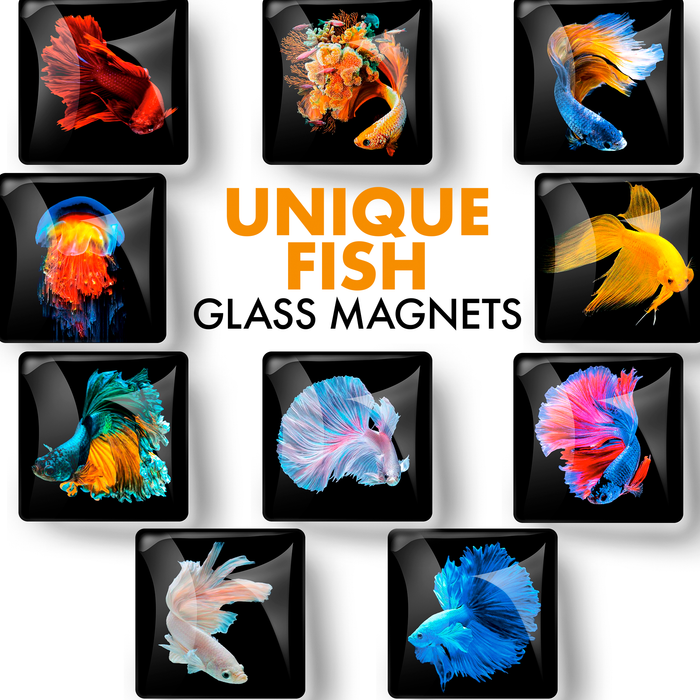 Unique Fish – Glass Refrigerator Magnets  10 PCs – Funny Fridge Magnets for Kitchen, Office and Whiteboard