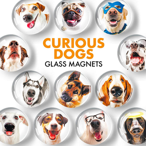 Dogs Glass Magnets - Colorful Magnets - Cute Refrigerator Magnets - Ideal for DIY, Science and Hobby - 12 PCs