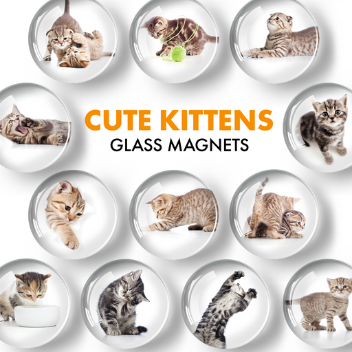 Cat Magnets - Decorative Magnets for Fridge and Whiteboard - Fridge Funny Magnets - Small Round Magnets - 12 PCs